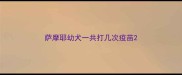 萨摩耶幼犬一共打几次疫苗