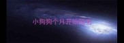 小狗狗个月开始脱毛