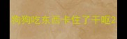 狗狗吃东西卡住了干呕