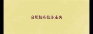 合肥拉布拉多走失