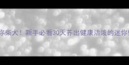 柴犬生出迷你柴犬新手必看30天养出健康活泼的迷你柴犬全攻略