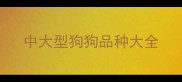 中大型狗狗品种大全