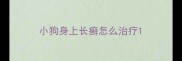 小狗身上长癣怎么治疗