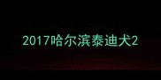 2017哈尔滨泰迪犬