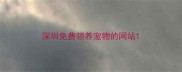 深圳免费领养宠物的网站