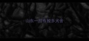 山东一拉布拉多犬舍