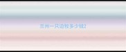 兰州一只边牧多少钱