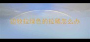 边牧拉绿色的拉稀怎么办