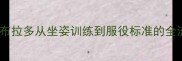 导盲犬首选品种拉布拉多从坐姿训练到服役标准的全流程附训练指南