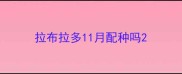 拉布拉多11月配种吗