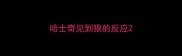 哈士奇见到狼的反应