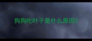 狗狗吃叶子是什么原因