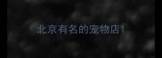 北京有名的宠物店