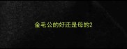 金毛公的好还是母的