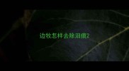 边牧怎样去除泪痕