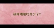 猫咪嗜睡吃的少了