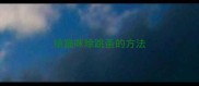 给猫咪除跳蚤的方法