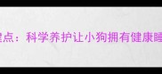 7大关键点科学养护让小狗拥有健康睡眠指南