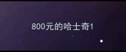 800元的哈士奇