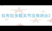 拉布拉多髋关节没有闭合