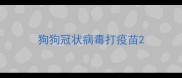 狗狗冠状病毒打疫苗