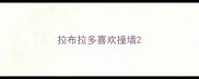 拉布拉多喜欢撞墙