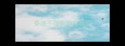 泰迪不吃狗粮吃地瓜