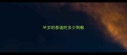 半岁的泰迪吃多少狗粮