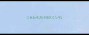拉布拉多怎样预防拉肚子
