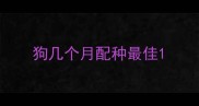狗几个月配种最佳