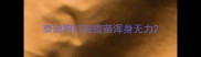 泰迪狗打完疫苗浑身无力