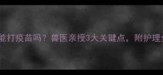 犬瘟未愈能打疫苗吗兽医亲授3大关键点附护理全攻略