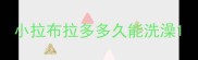 小拉布拉多多久能洗澡