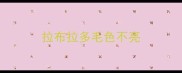 拉布拉多毛色不亮