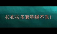 拉布拉多套狗绳不乖