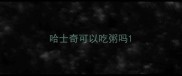 哈士奇可以吃粥吗
