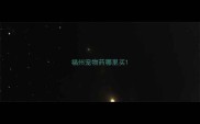福州宠物药哪里买
