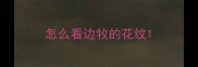 怎么看边牧的花纹