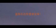 蓝陨石边牧登录冠军