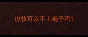 边牧可以不上绳子吗