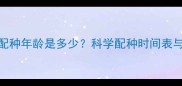 母泰迪最佳配种年龄是多少科学配种时间表与注意事项全