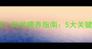 金毛犬需要补营养吗科学喂养指南5大关键营养素与补品选择