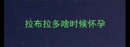 拉布拉多啥时候怀孕