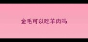 金毛可以吃羊肉吗