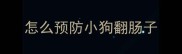 怎么预防小狗翻肠子