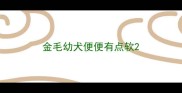 金毛幼犬便便有点软