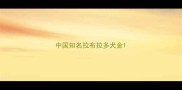 中国知名拉布拉多犬舍