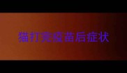 猫打完疫苗后症状