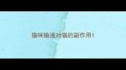 猫咪输液对猫的副作用