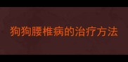 狗狗腰椎病的治疗方法